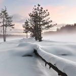 霧に包まれる冬の湖