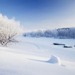 雪の河川敷