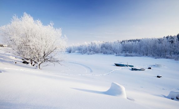 雪の河川敷