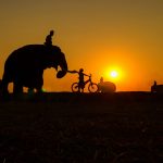 象と子供　タイの風景