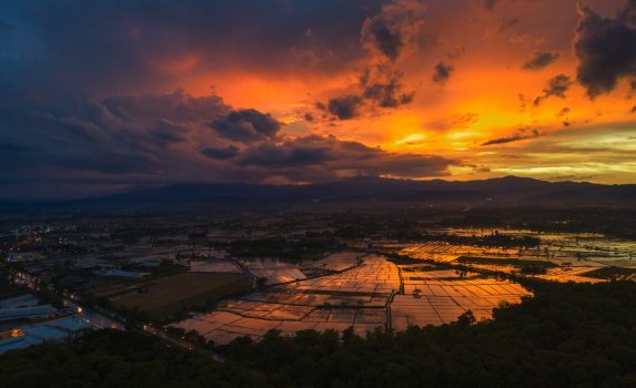 夕焼けの水田　タイの田園風景