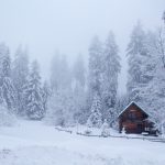 森の中のコテージ　冬の風景