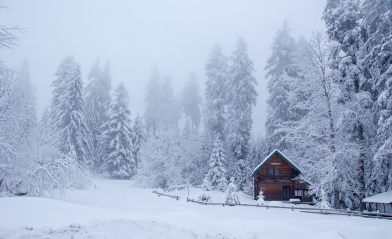 森の中のコテージ　冬の風景