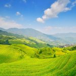 中国湖南省　棚田の風景