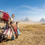 エジプト　カイロ　ギザのピラミッドのある風景