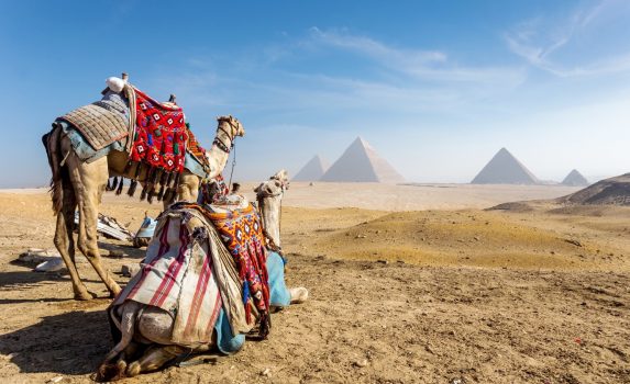 エジプト　カイロ　ギザのピラミッドのある風景