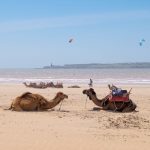 北アフリカ　モロッコ　風の都市　エッサウィラの海岸