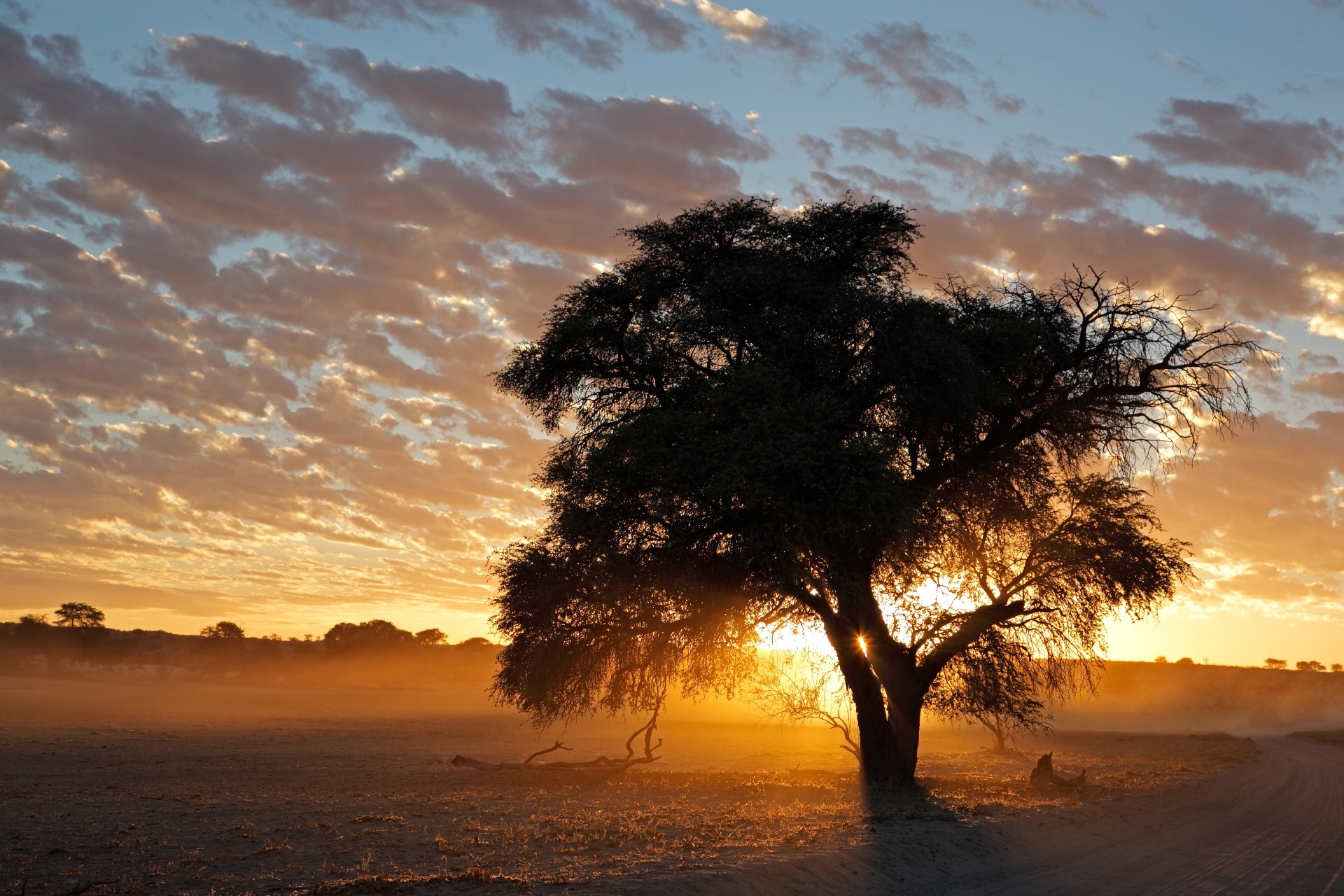 南アフリカ　カラハリ砂漠の夕暮れ