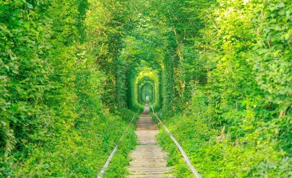 「恋のトンネル（愛のトンネル）」ウクライナ　クレーヴェン　ウクライナの風景