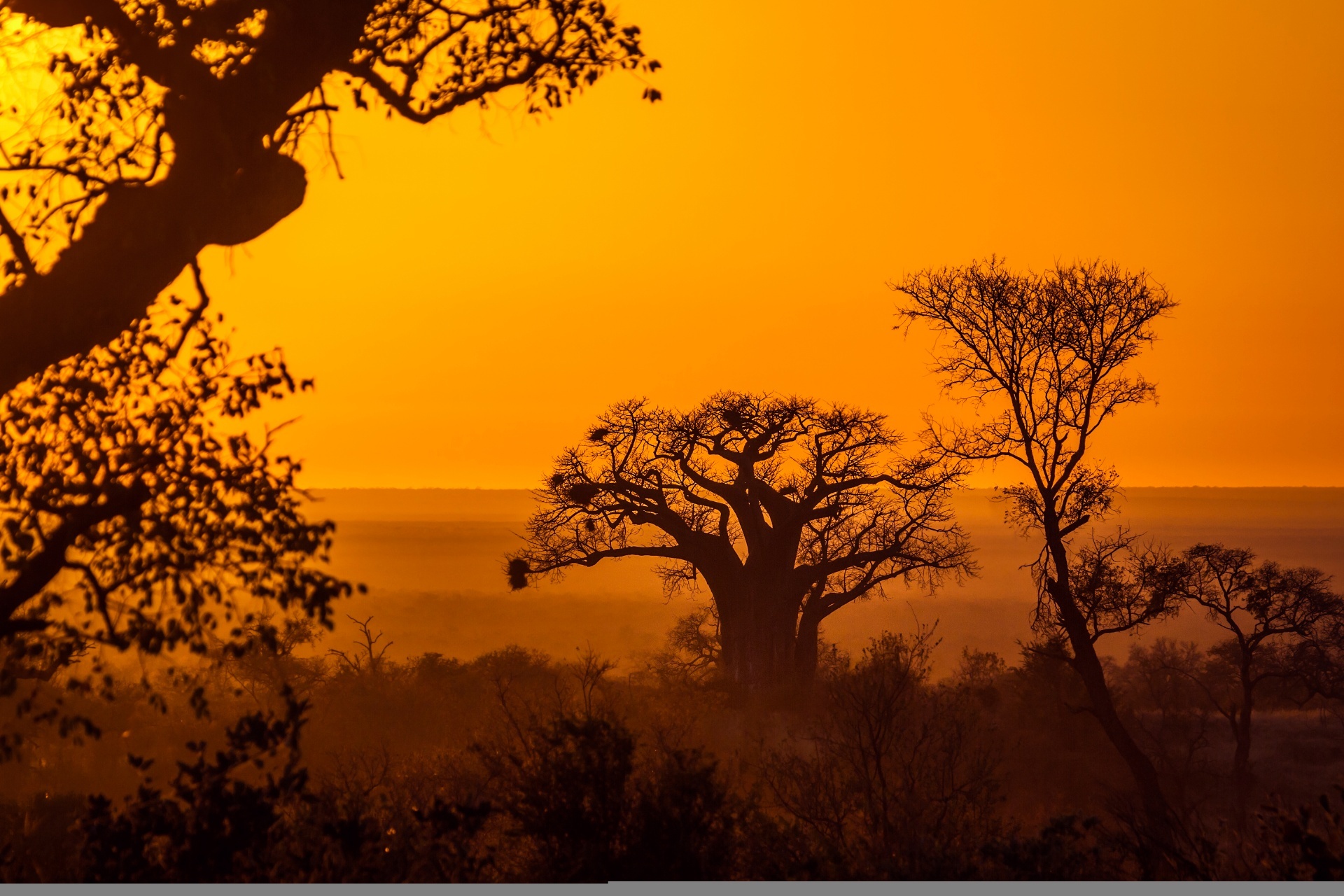 南アフリカの日の出の風景