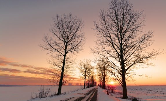 美しい冬の日　ポーランドの風景