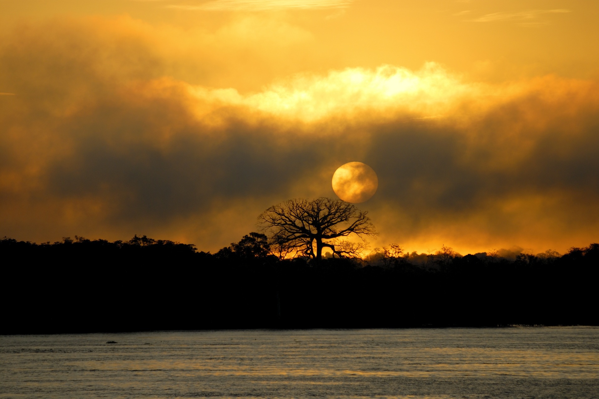 ブラジル、アマゾナス州、マナウス近くのアマゾン川に昇る朝日