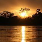 アマゾンの熱帯雨林と日の出の風景