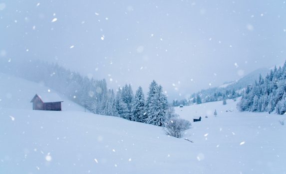 雪に覆われた松林の眺め　冬のスイスの風景
