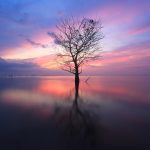 夜明けの湖の風景　タイの風景
