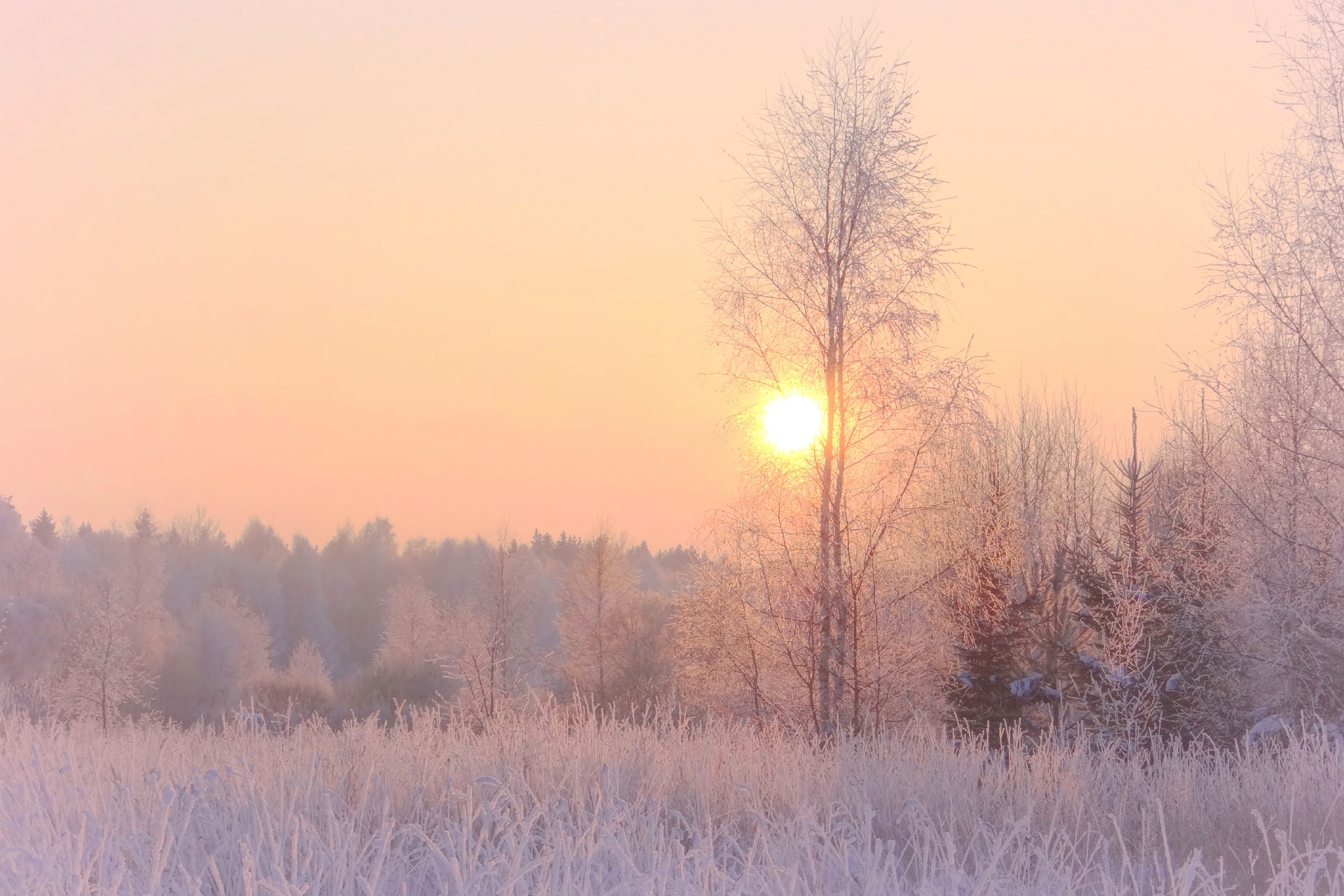 美しい冬の風景　リトアニア　シャウレイ