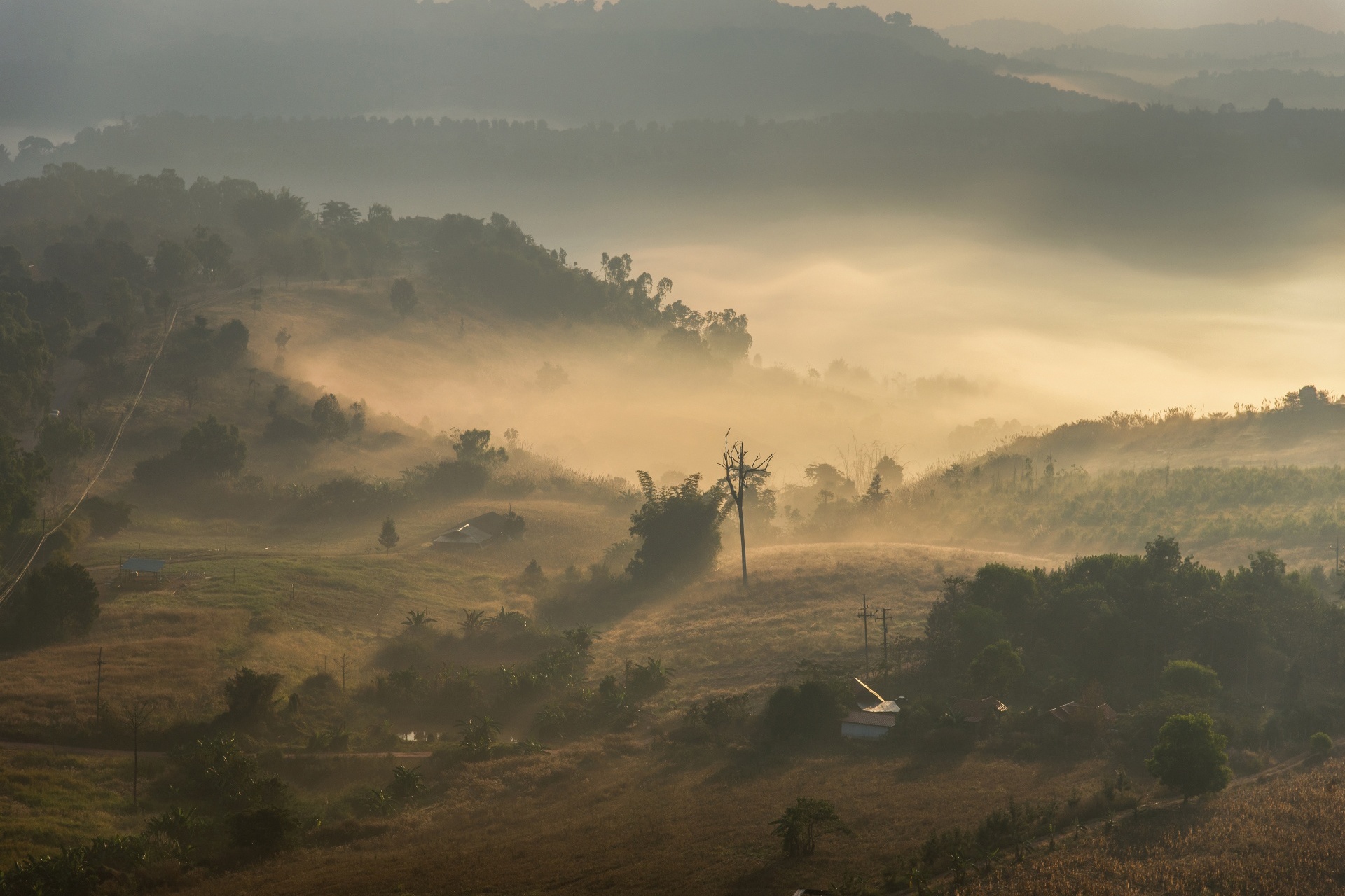 朝のカオコー国立公園　ペッチャブーン　タイの風景