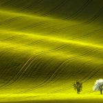 モラヴィアの風景　チェコの風景