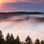 春の牧草地の風景　ルーマニアの自然の風景