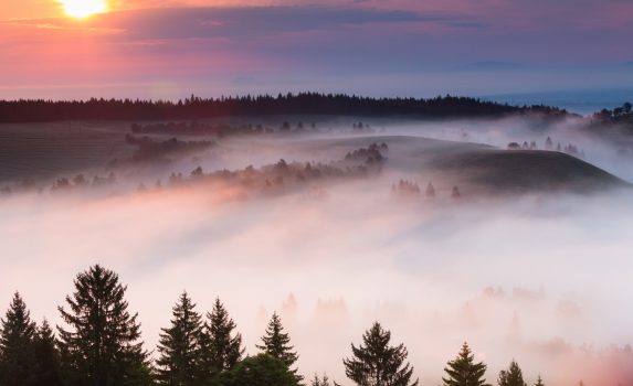 朝霧と春の牧草地の風景　ルーマニアの風景