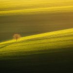 チェコ　モラヴィアの風景