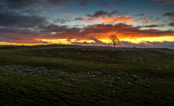 日の出のヨークシャー・デイルズの風景　イギリスの風景