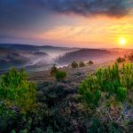 日の出の「平和の谷」の風景　イスラエルの風景
