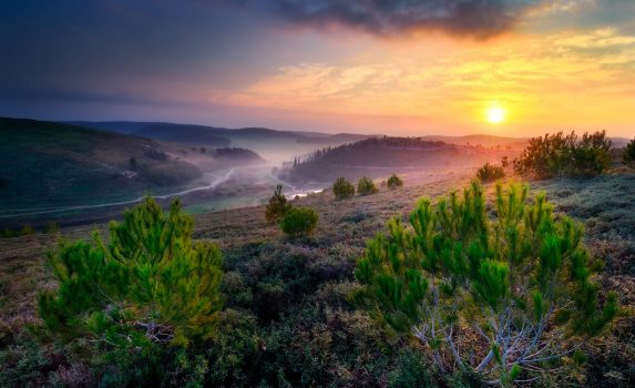 日の出の「平和の谷」の風景　イスラエルの風景