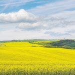 春のモラヴィアの風景　チェコの風景