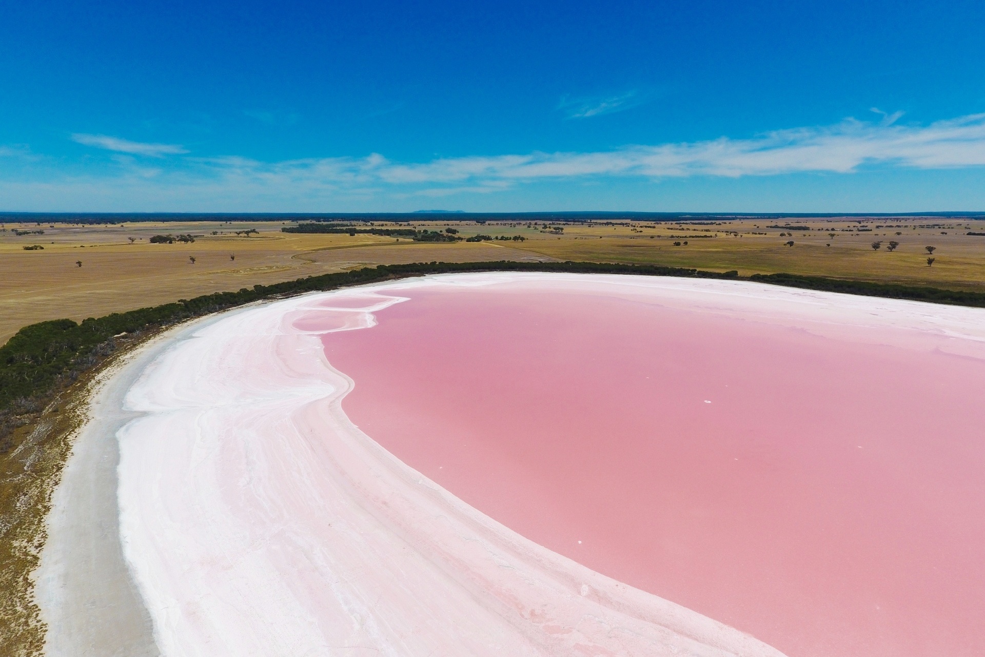 ピンク・レイクの風景　オーストラリアの風景