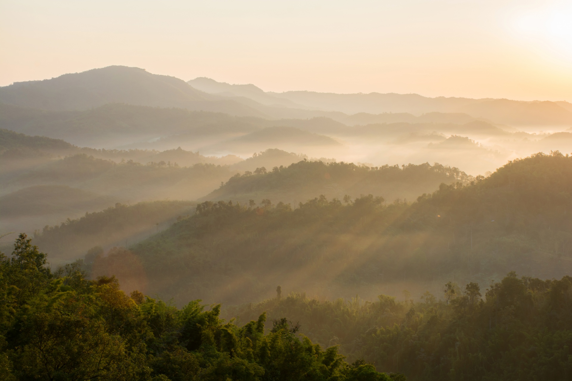 タイの山岳風景　朝日に浮かぶ霧に包まれた山々