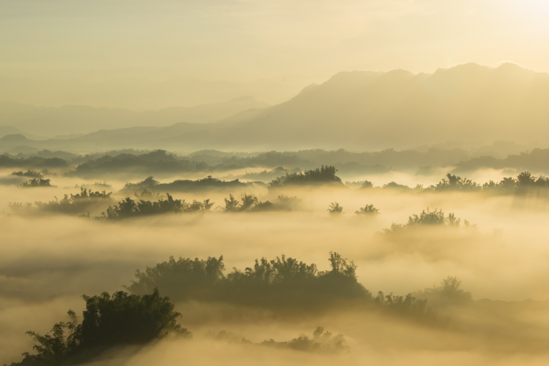 朝の台南　日の出の山の風景　台湾の風景