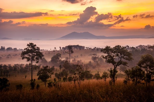 サバンナの日の出　ケニアの風景