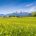 緑の牧草地と花の咲く風景　ベルヒテスガーデン　ドイツの風景　