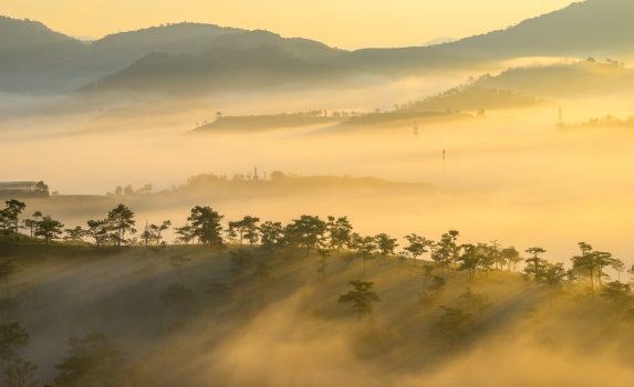 朝霧のダラットの風景　ベトナムの風景
