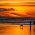 オレゴン州　夕暮れの海辺の風景　アメリカの風景