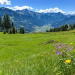 緑の牧草地とアルプス山脈の風景　オーストリアの風景