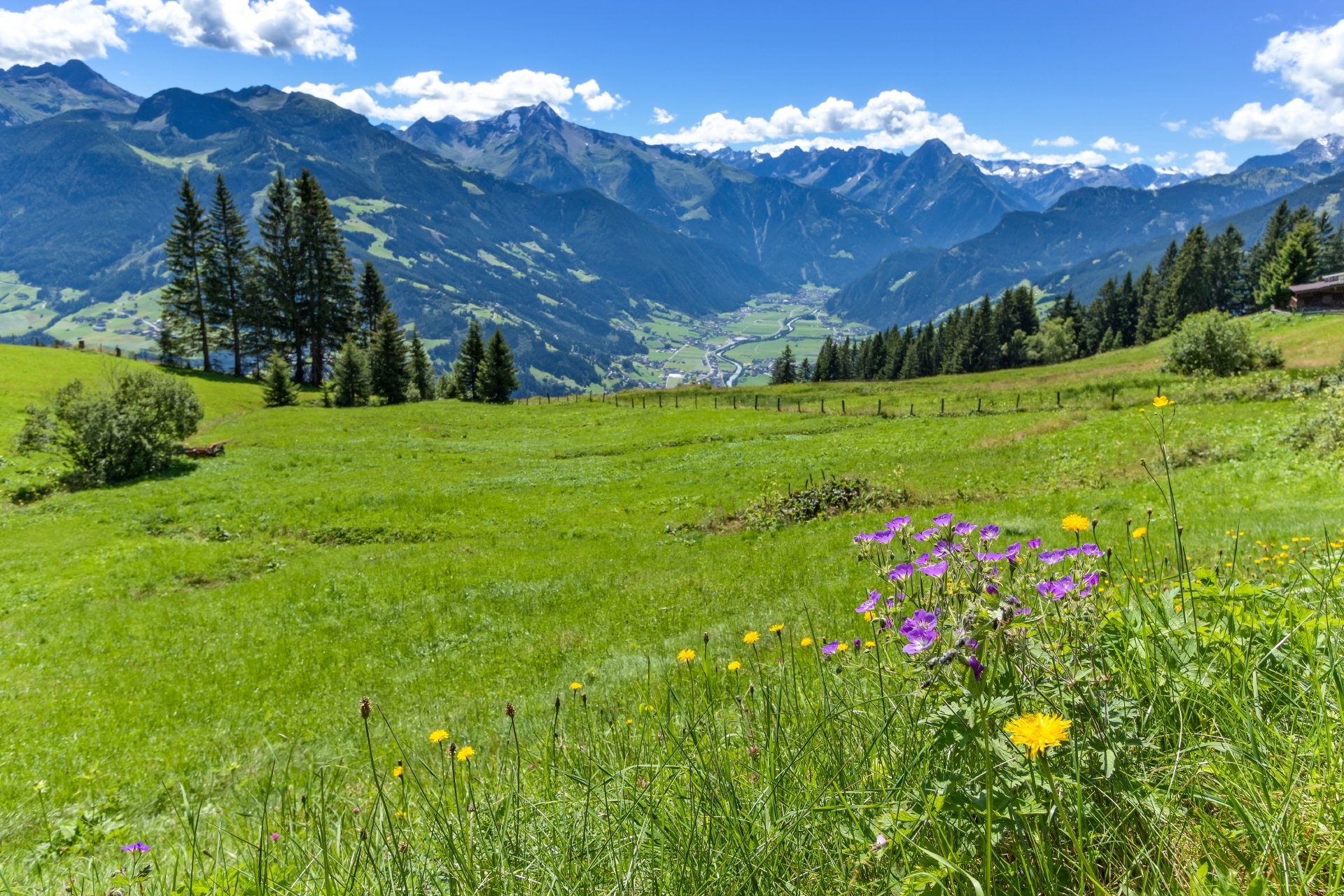緑の牧草地とアルプス山脈の風景　オーストリアの風景
