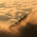 チェンマイの霧の朝の風景　タイの風景