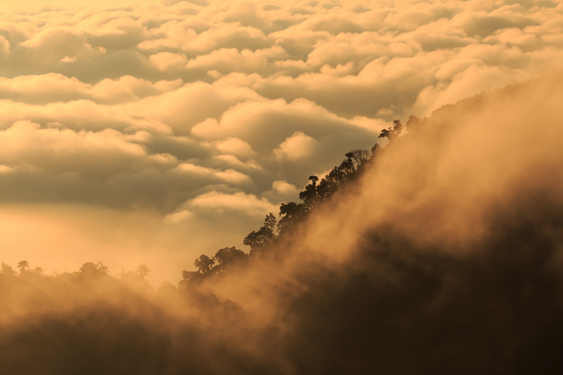 チェンマイの霧の朝の風景　タイの風景