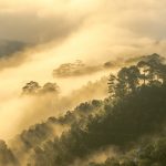 ダラットの風景　ベトナムの風景