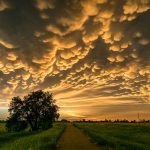 幻想的な夕暮れの風景　ネブラスカ　アメリカの風景