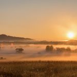 朝の太陽に照らされたボヘミアの森の風景　チェコの風景