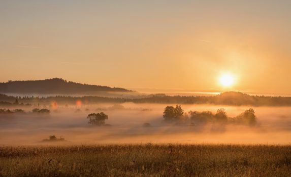 朝霧とボヘミアの森の風景　チェコの風景