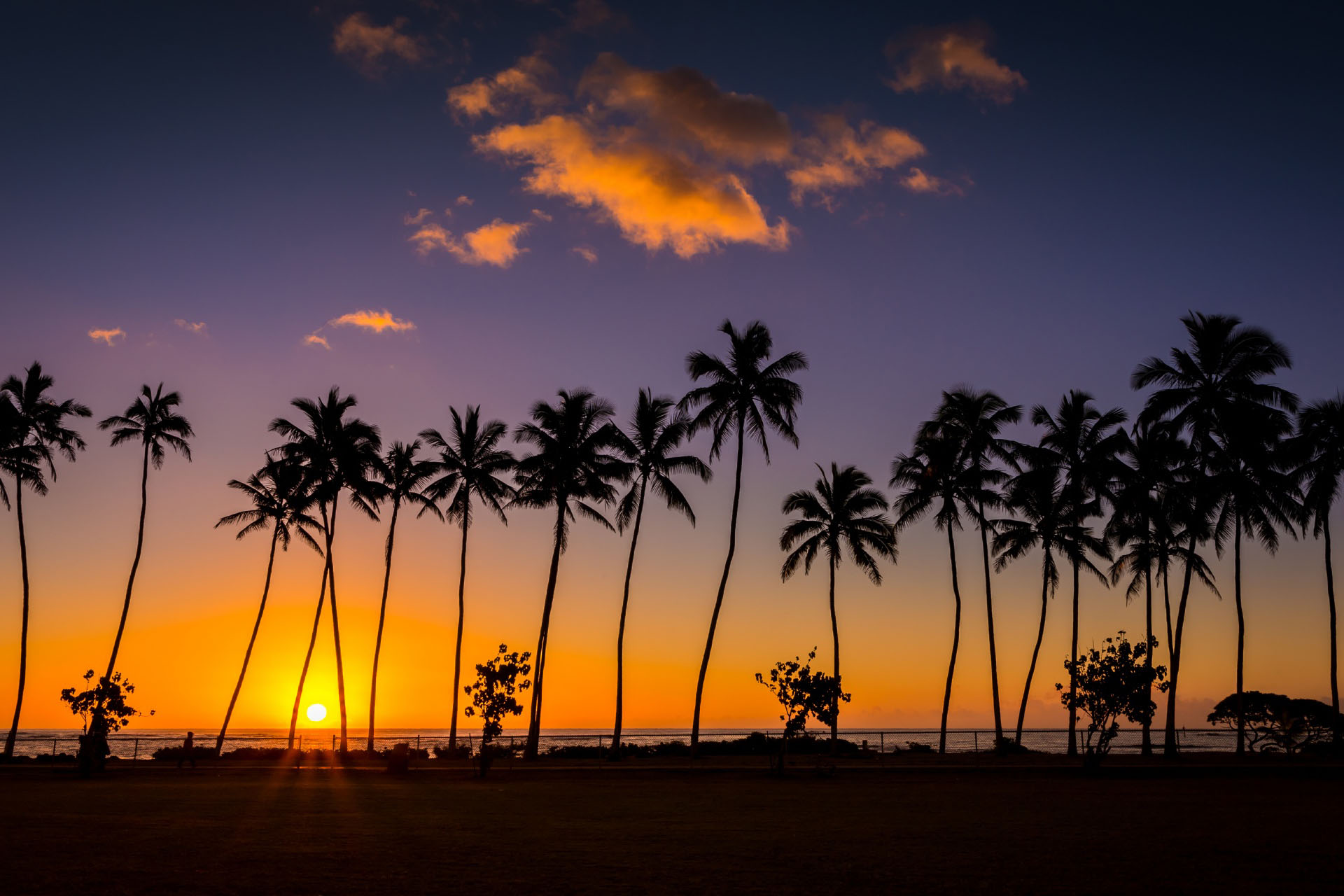 ヤシの木と日の出の空　ハワイの風景