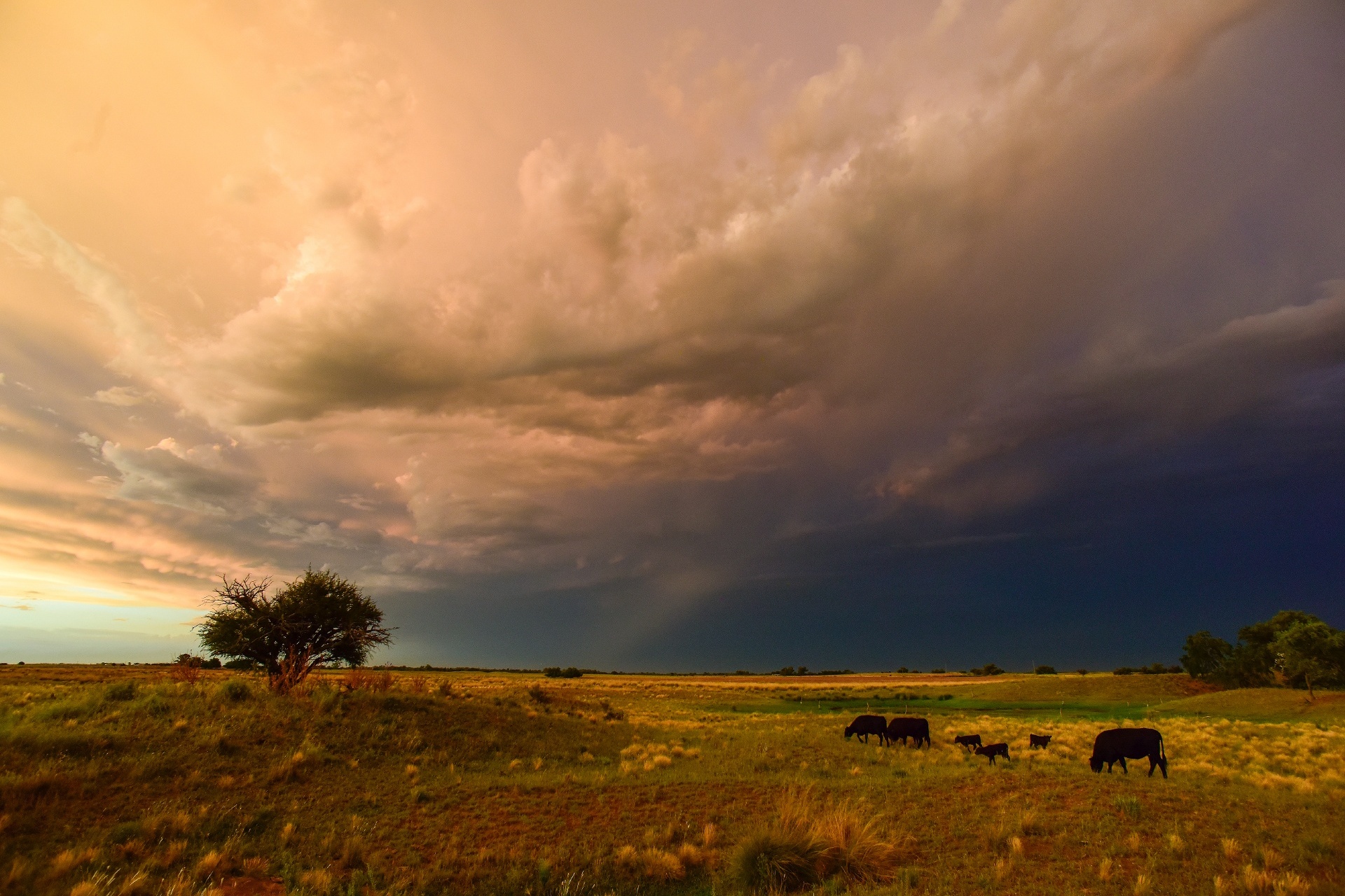 嵐の風景　ラ・パンパ　パタゴニア　アルゼンチンの風景