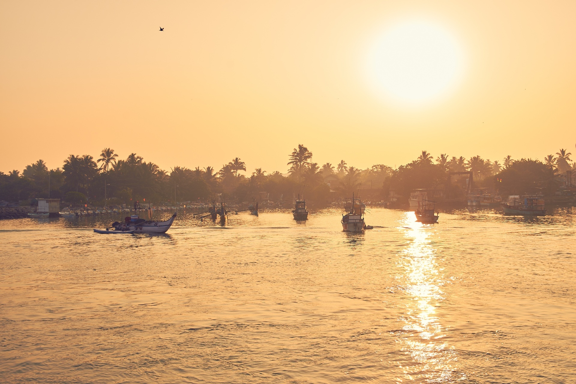 夜明けの漁船の風景　ミリッサ　スリランカの風景