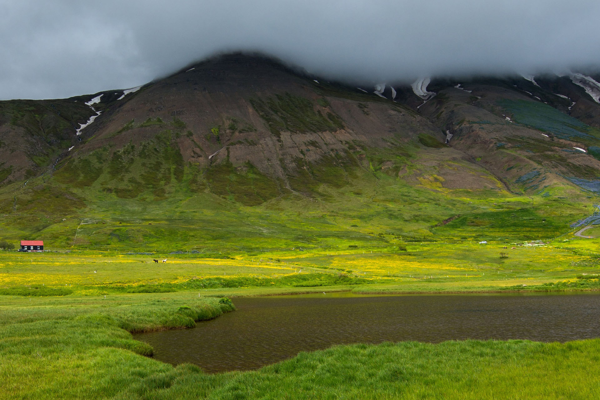 エイヤフィヨルズルの風景　アイスランドの風景