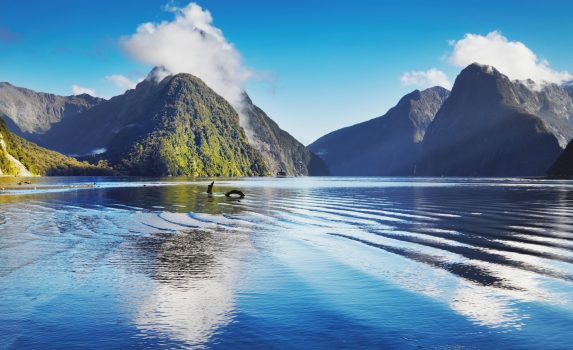 ミルフォードサウンドの風景　ニュージーランドの風景