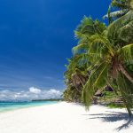 ボラカイ島 美しいヤシと白い砂浜の風景　フィリピンの風景